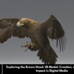 Exploring the Brown Hawk 3D Model: Creation, Applications, and Impact in Digital Media